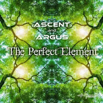 The Perfect Element by Argus