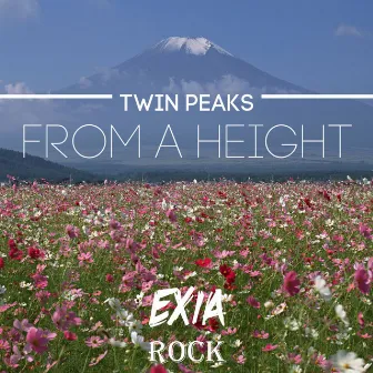 From A Height by Twin Peaks