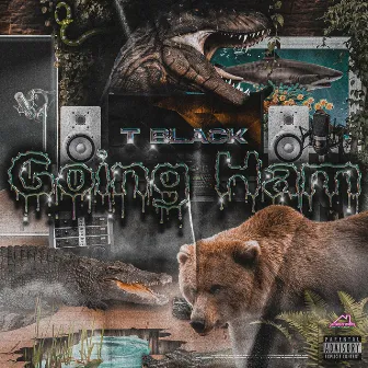 Going Ham by T Black