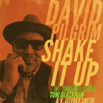 Shake It Up by David Pilgrim