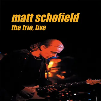 The Trio, Live by Matt Schofield