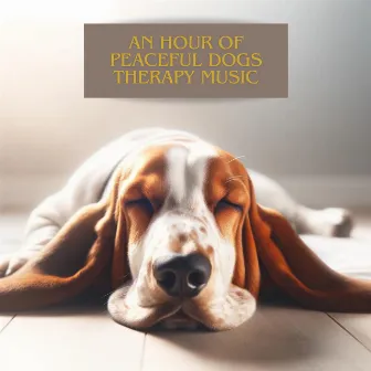 An Hour Of Peaceful Dogs Therapy Music by Dogs Therapy