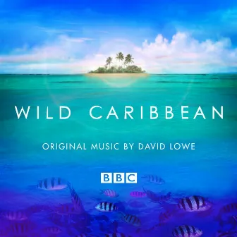 Wild Caribbean - Original Music By David Lowe by David Lowe