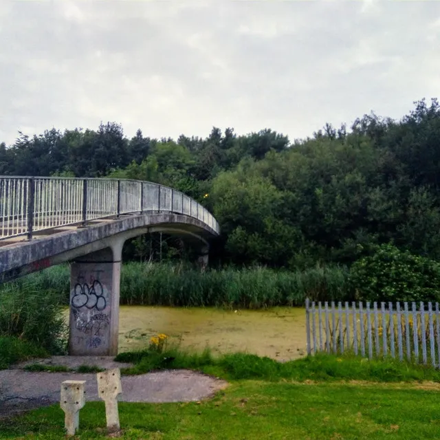 Wtr Under the Bridge