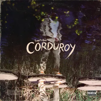 Corduroy by Travis Peach