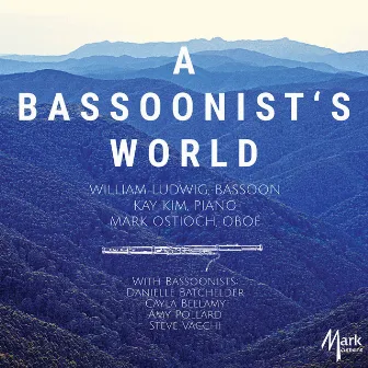 A Bassoonist's World by William Ludwig