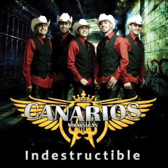 Indestructible by Los Canarios De Michoacan