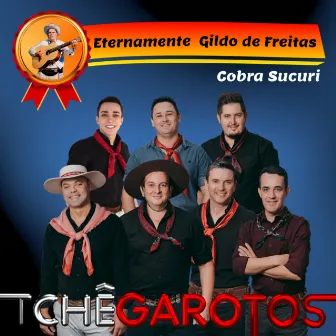 Cobra Sucuri - Eternamente Gildo de Freitas by Gildo de Freitas