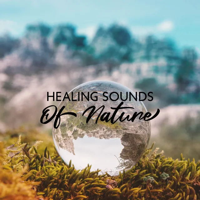 Healing Sounds Of Nature: Natural Ambiance For Meditation, Sleep, Deep Relax