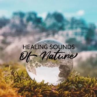 Healing Sounds Of Nature: Natural Ambiance For Meditation, Sleep, Deep Relax by Nature Vox