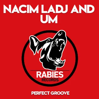 Perfect Groove by UM