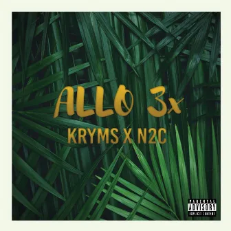 Allo 3x by N2C