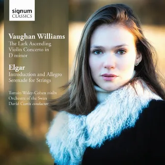 Vaughan Williams: The Lark Ascending, Violin Concerto in D Minor - Elgar: Introduction & Allegro, Serenade for Strings by David Curtis