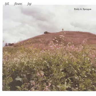 Hill, Flower, Fog by Emily A. Sprague