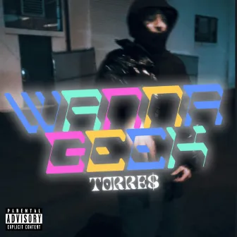 Wanna Geek by Torre$