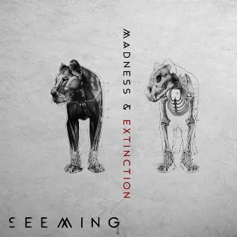 Madness & Extinction by Seeming