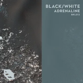 Adrenaline (Radio Edit) by BLACK/WHITE