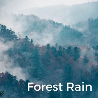 Forest Rain by Wild Weather