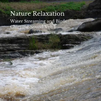 Nature Relaxation: Water Streaming and Birds Chirping Sound Vol. 1 by Babies Love Brahms