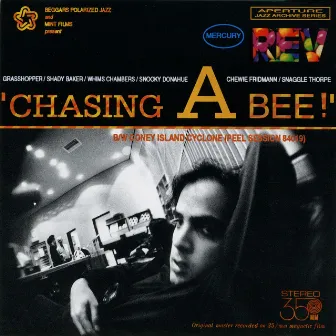 Chasing a Bee by Mercury Rev