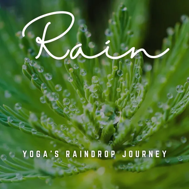 Serene Rain Asanas