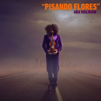 Ara Malikian: Pisando Flores by Ara Malikian