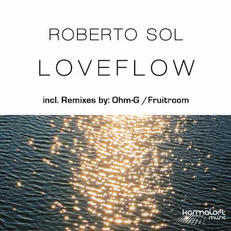 Loveflow (feat. Gladys) by Roberto Sol