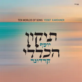 תיקון הכללי by Yosef Karduner