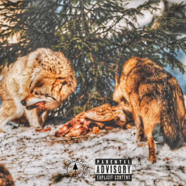 WOLVES DON'T EAT ALONE