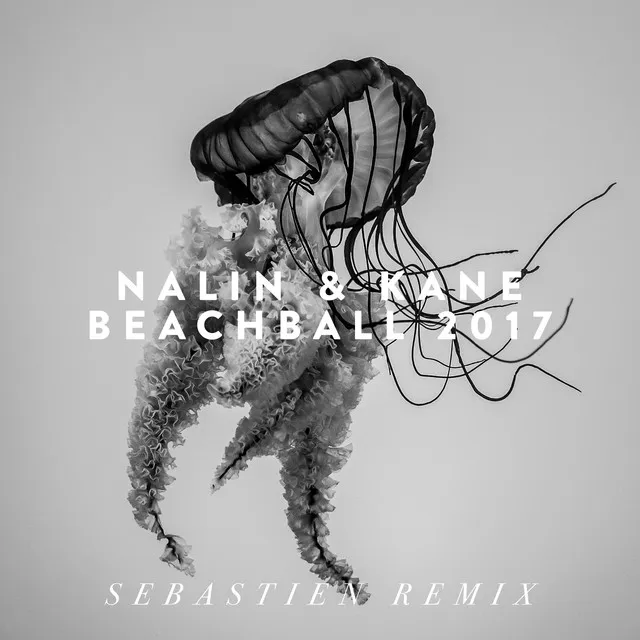 Beachball 2017 - Sebastien Remix