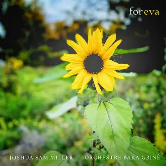 For Eva by Joshua Sam Miller