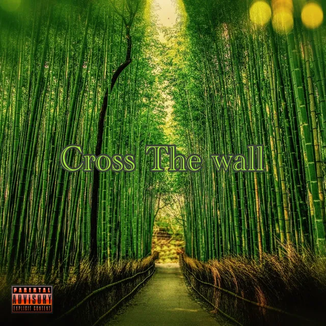 Cross The wall