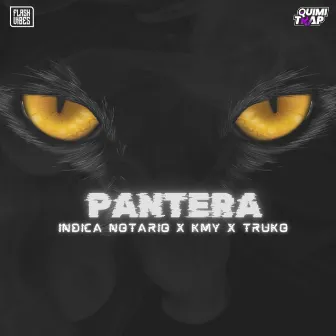 Pantera by Indica Notario