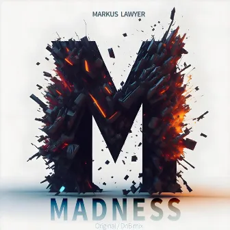 Madness by Markus Lawyer