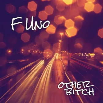 Other Bitch by F Uno