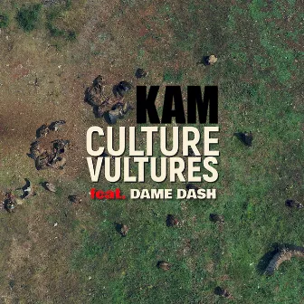 Culture Vultures by Kam