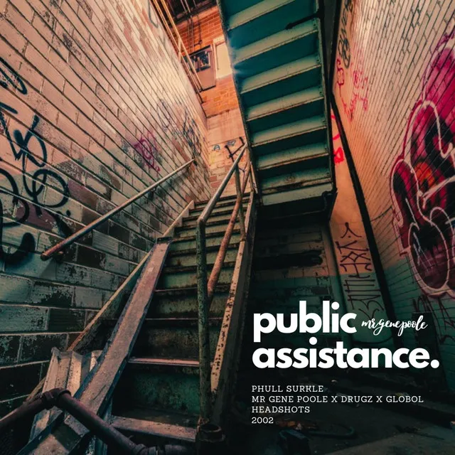 Public Assistance