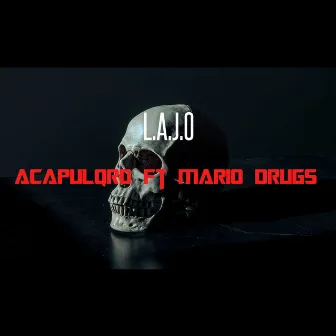 Acapulqro by L.A.J.O