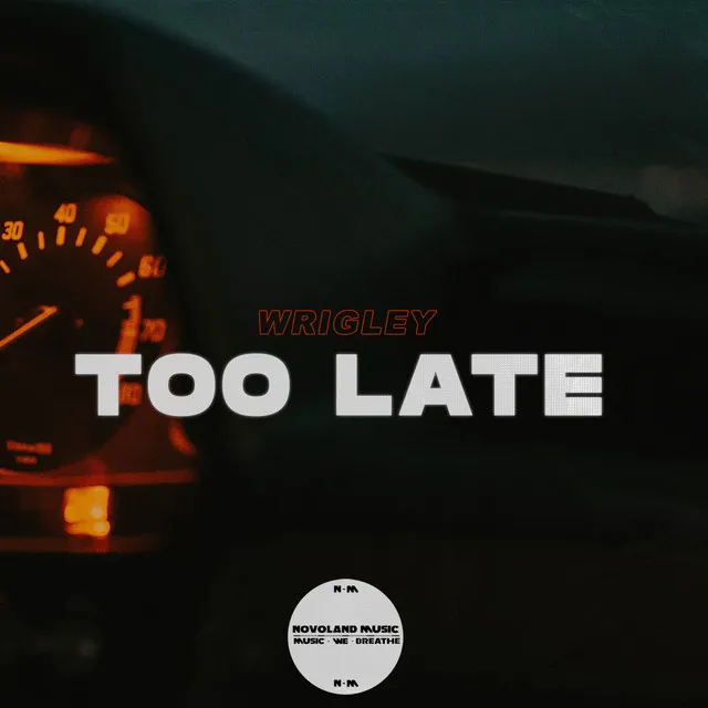 Too Late (Extended Mix)