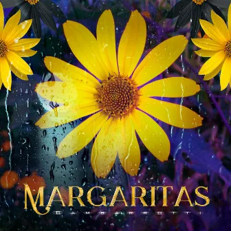 Margaritas by Gambarrotti