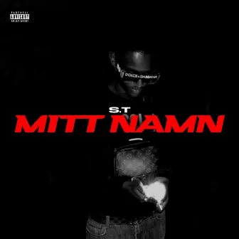 MITT NAMN by S.T