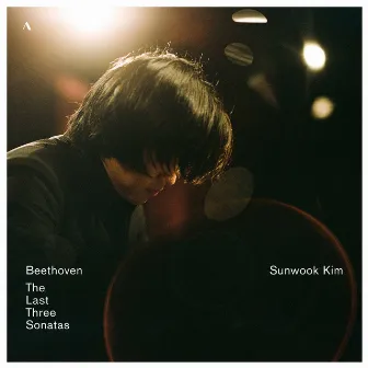 The Last Three Sonatas by Sunwook Kim