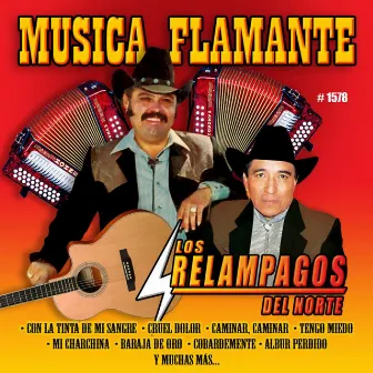 Musica Flamante by Los Relampagos Del Norte