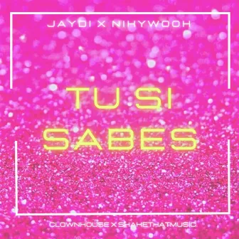 Tu Si Sabes by Jaydi