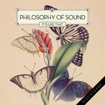 It Is Like That by Philosophy Of Sound