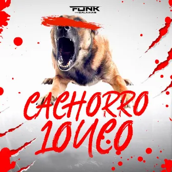 Cachorro Louco by MC JOTA DO SANTUÁRIO