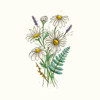 Daisies by Children of Indigo