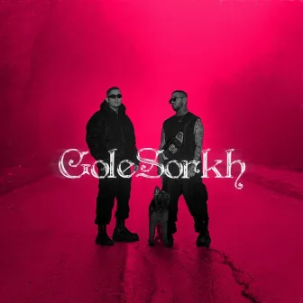 Gole Sorkh (Remix) by Apack