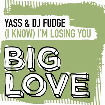 (I Know) I’m Losing You by DJ Fudge