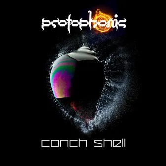 Conch Shell by Protophonic